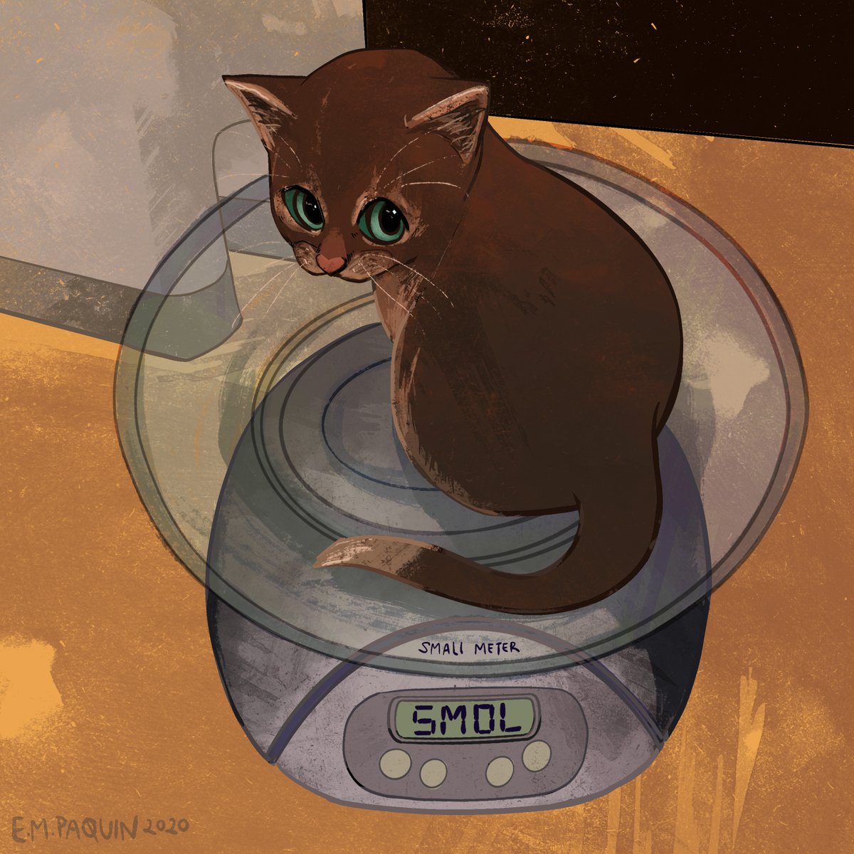 catwheezie🐾 tweet media