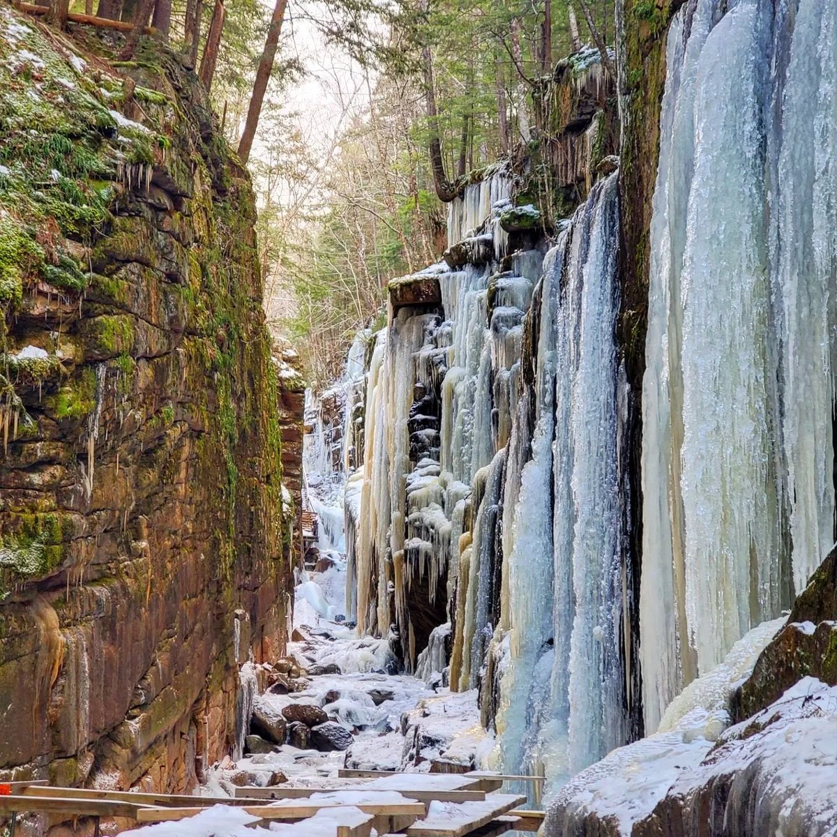 ThayersInn's tweet image. "Life is like a mountain, sometimes you're up high, sometimes you're down low, but in the end, it's always worth the view." 

📷: @erin1027 (Flume Gorge)