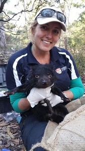 galaxyproject's tweet photo. We are excited to announce the first keynote speaker joining us at GCC2023, Dr. Carolyn Hogg! As a Senior Research Manager at the Australasian Wildlife Genomics Group, @HoggCarolyn is changing the way we integrate #science, #management, and #policy to promote species resilience! https://t.co/LO0StAFx2C