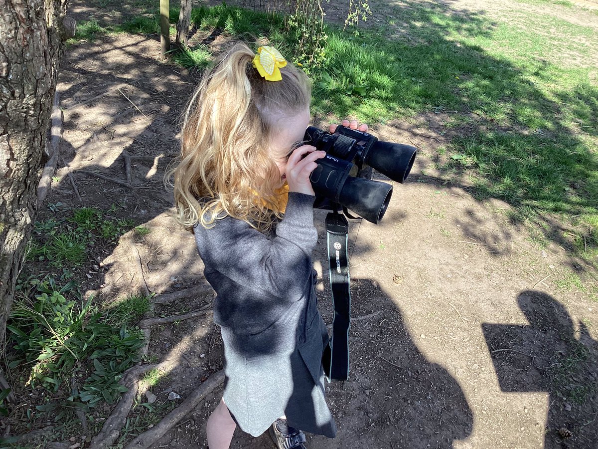 neilston_madras's tweet image. Friday was a super day for a spot of bird watching In Primary 1. The children used identification sheets to help them spot different types of birds in our school grounds. Great job, P1! #RSPBWildChallenge 🦜🪶🕊