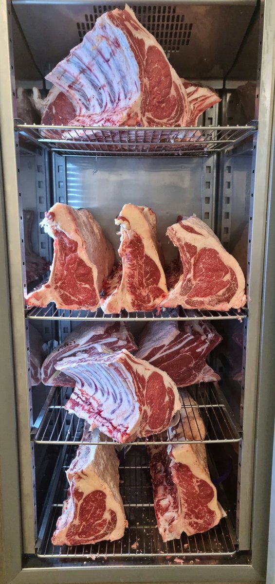 Jose Luis Souto (@wildfoodboy) on Twitter photo Fantastic delivery of Aberdeen Angus beef from #buitelaar today all gone into our <a href="/A_Refrigeration/">😇 Angel❄️Refrigeration❄️</a> ageing cabinet #education #Chefsschool #abeerdeenangusbeef Fantastic delivery of Aberdeen Angus beef from #buitelaar today all gone into our <a href="/A_Refrigeration/">😇 Angel❄️Refrigeration❄️</a> ageing cabinet #education #Chefsschool #abeerdeenangusbeef