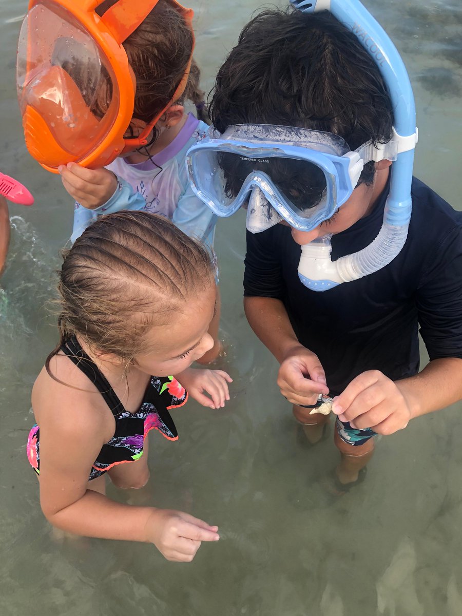 Don't forget about Day Camps!

Jump into summer vacation with a 🌊 by joining us on select dates from 9 - 1❕Each single-day session includes STEM activities, water exploration, Aquarium tours & MORE🔬

🔗 ow.ly/x78z50NHiBr

#daycamps #moteeducation