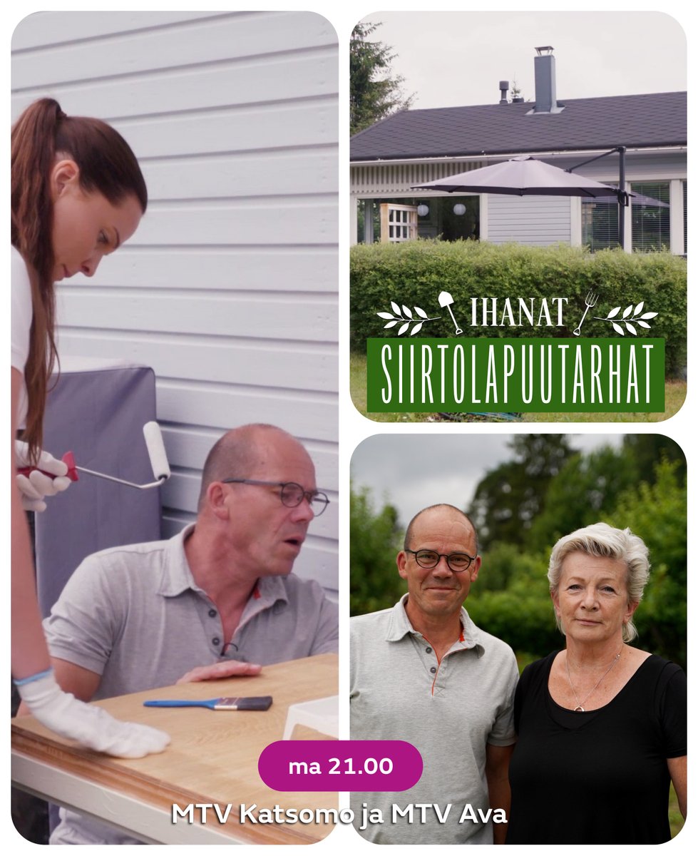 Tänään pääsemme Nicken kanssa ihmettelemään Espoon Puolarmaarin siirtolapuutarhaa, jossa mökit ovat paikoin kuin suoraan sadusta! 🌺 Tutustumme myös Soile Lindqvistin palstaan puutarha- ja maalaustöiden merkeissä.

Ihanat Siirtolapuutarhat, ma 21.00 MTV Avalla ja MTV Katsomossa.