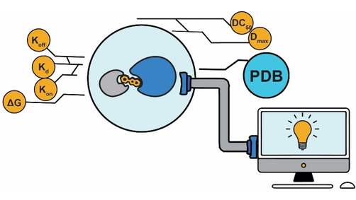 Biophysical and Computational Approaches to Study Ternary Complexes: A Cooperative Relationship to Rationalize Targeted Protein Degradation (Cristina Mayor-Ruiz and coworkers) <a href="/CrisMayorRuiz/">Cris Mayor-Ruiz</a> <a href="/IRBBarcelona/">IRB Barcelona</a> #ChemBioTalents onlinelibrary.wiley.com/doi/10.1002/cb…