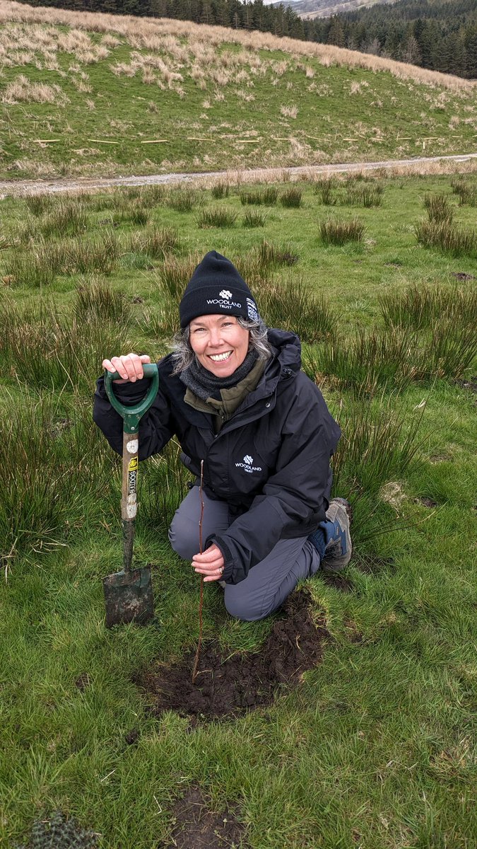 Love my job <a href="/WoodlandTrust/">WoodlandTrust</a>. Beaming from ear to ear to plant my first tree (a beautiful native alder whip)  at #Snaizeholme #YorkshireDales #treeplanting
