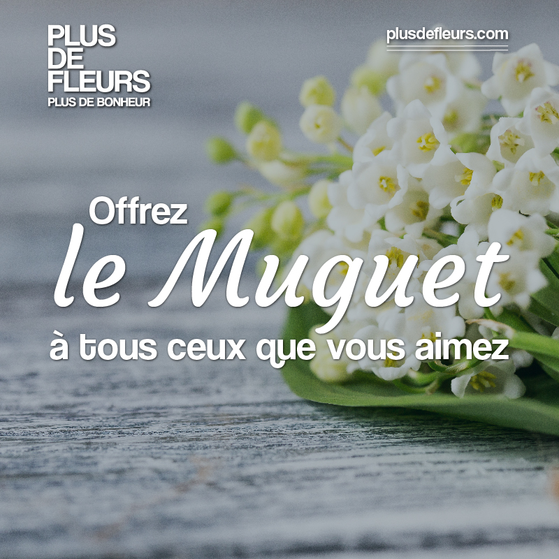 plusdefleurs's tweet photo. La très courte saison du muguet commence à partir du 27 avril ! https://t.co/NruJLAx5D5 https://t.co/TFg0jbjZUh