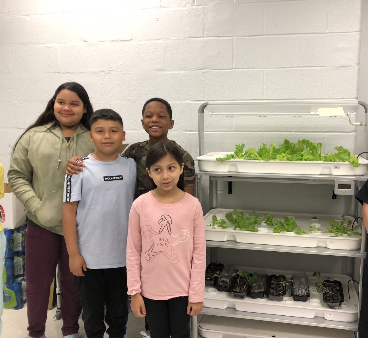 Ms. Simond’s 1st period STEAM class got to check out the progress of their hydroponic lettuce seeds. An amazing crop is growing. Thanks students!  <a href="/BucknellElem/">Bucknell Elementary</a> <a href="/PTABucknell/">Bucknell Elementary PTA</a> @ArcadiaFood <a href="/fcpsGet2Green/">FCPS Get2Green</a> #bucknellstrong <a href="/FCPSR3/">FCPS Region 3</a>