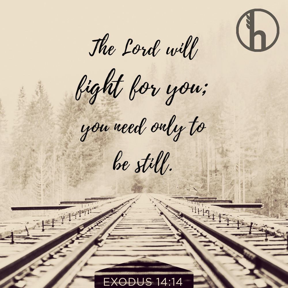 WinfieldHarvest's tweet image. #harvestwinfield #scripturemonday