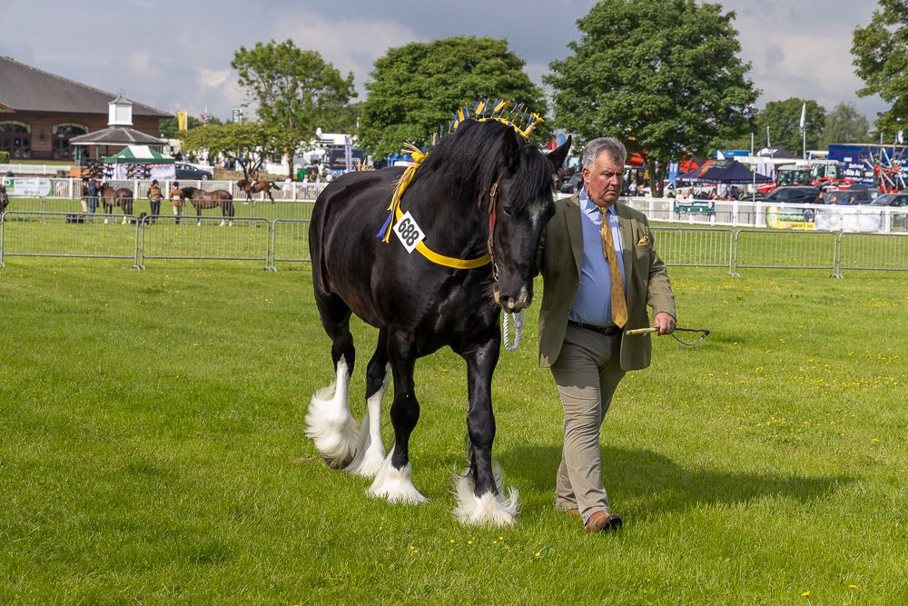 ** COMPETITION ** to win Staffordshire County Show tickets!

Your chance to WIN a family ticket to the fabulous Staffordshire County Show 2023!  

Enter here >>> bit.ly/40uvmAZ

#staffordshirehour #competition #giveaway