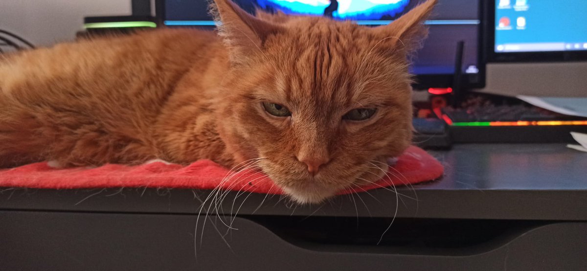 Nunca he hecho esto pero necesitamos ayuda.
Anoche nos pusimos a jugar con Kida y se desplomó. Trataba de levantarse pero no podía, así que fuimos a urgencias y le hicieron algunas pruebas. Nos piden 800€ y no podemos pagarlo. Agradecemos cualquier ayuda.
paypal.me/Ozov