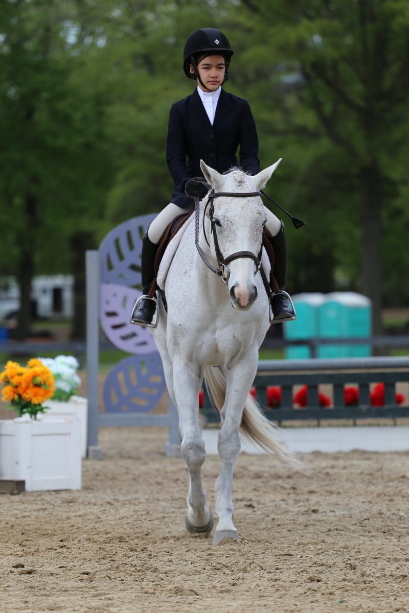 vmacatuno's tweet photo. Lexi and Gabriel had a GREAT showing this weekend at the HITS Culpepper Series 2023!! We are so proud of you! 💕💕 #HITS #LexiMacatuno #1stHorseShow #Culpeper @laughingfoxfarm @AlfredMacatuno https://t.co/Z2yzR2kqvQ