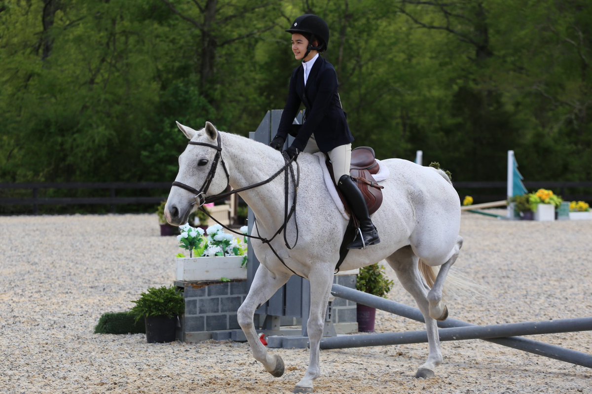 vmacatuno's tweet photo. Lexi and Gabriel had a GREAT showing this weekend at the HITS Culpepper Series 2023!! We are so proud of you! 💕💕 #HITS #LexiMacatuno #1stHorseShow #Culpeper @laughingfoxfarm @AlfredMacatuno https://t.co/Z2yzR2kqvQ