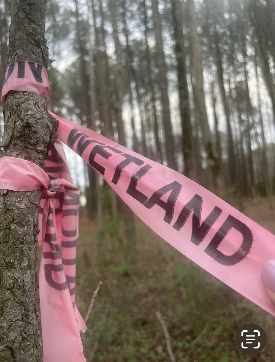 DJViris007's tweet photo. @MDEnvironment @MdDPlanning We are filling in wetlands to build houses on kent island for a sewer project sanctioned by MDP &amp;MDP. That can’t help https://t.co/X52mri2v1F
