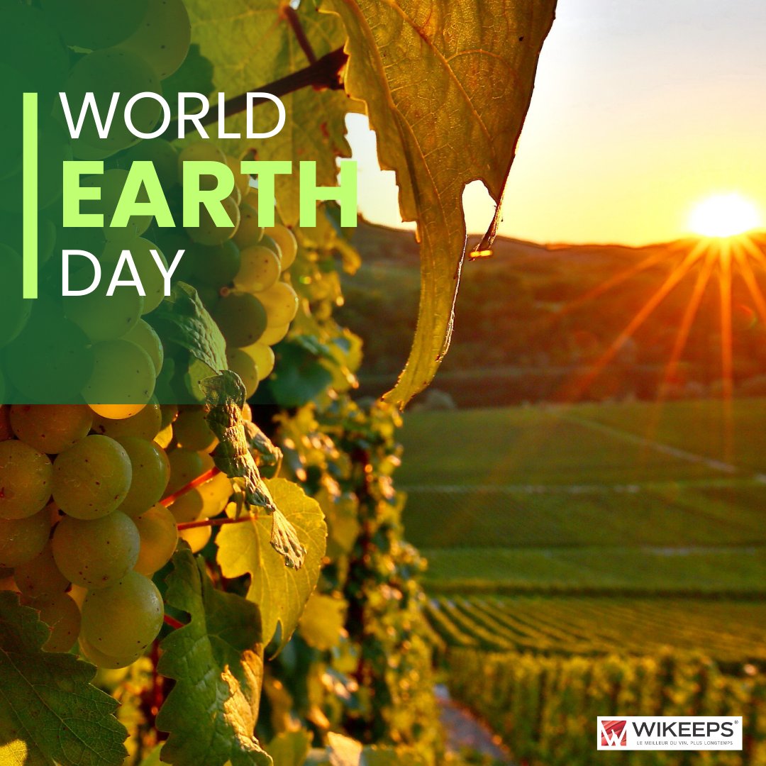 🌎 👊 Wikeeps s'est toujours engagé dans l'innovation et la durabilité pour protéger notre planète.  #journeedelaterre #wikeeps #vin #durabilité #worldearthday #Wine #winelover #environment