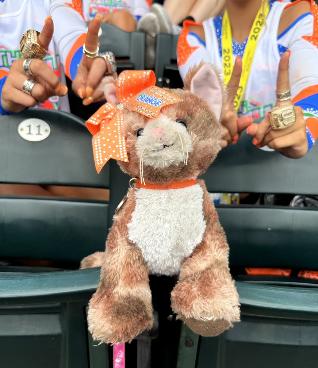 Ava kitty says 1️⃣1️⃣ is her lucky number