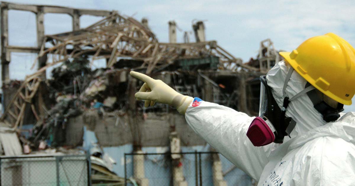 Survival Magazine tweet media