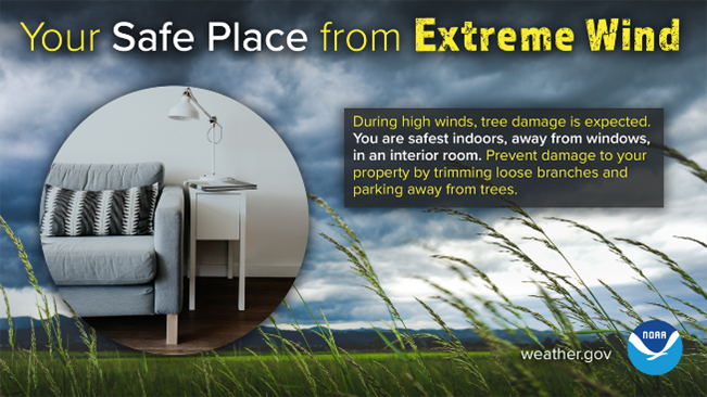 CassCountyND_EM's tweet photo. During high winds, tree damage is expected, and loose objects can become airborne and dangerous. You are safest indoors, away from windows, in an interior room. Stay #WeatherReady and learn more about wind safety: https://t.co/XXXu6AQ0s5 https://t.co/Rn7OCRVLIE