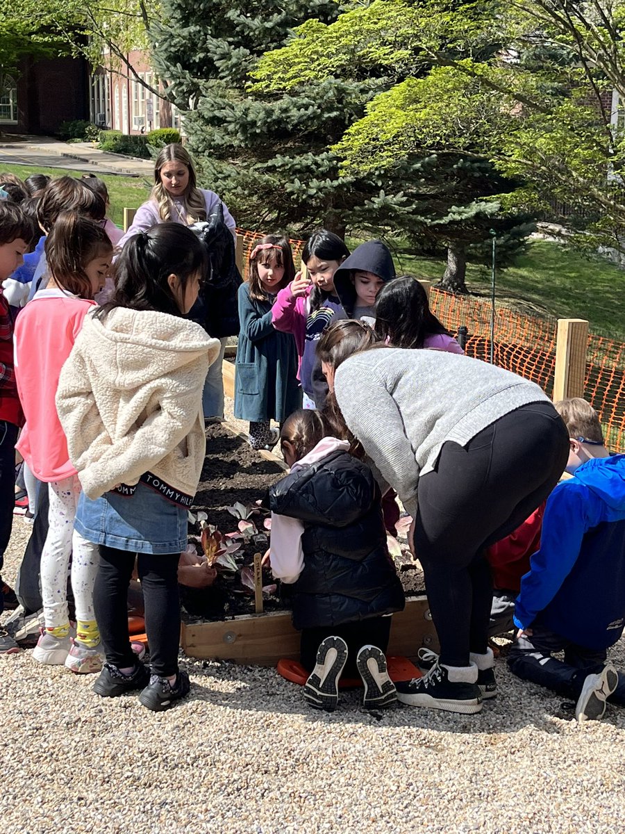 Teri Peragallo tweet media