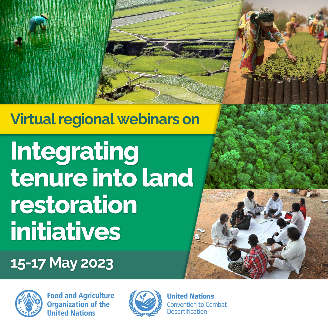 Join the @FAO-@UNCCD regional webinars on integrating tenure into #LandRestoration initiatives! 📅 15-17 May 2023 Interpretation in Arabic, Chinese, English, French, Russian and Spanish will be available. More info & register here ➡️ ow.ly/8jtg50NQsHT