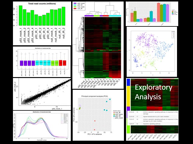 Want to analyze RNA-Seq data interactively yet reproducibly?
Newly refactored iDEP (bioinformatics.sdstate.edu/idep11) is almost ready. Reproducibility features:
-Generate code &amp; reports,
-Install locally as an R package or via Docker!
