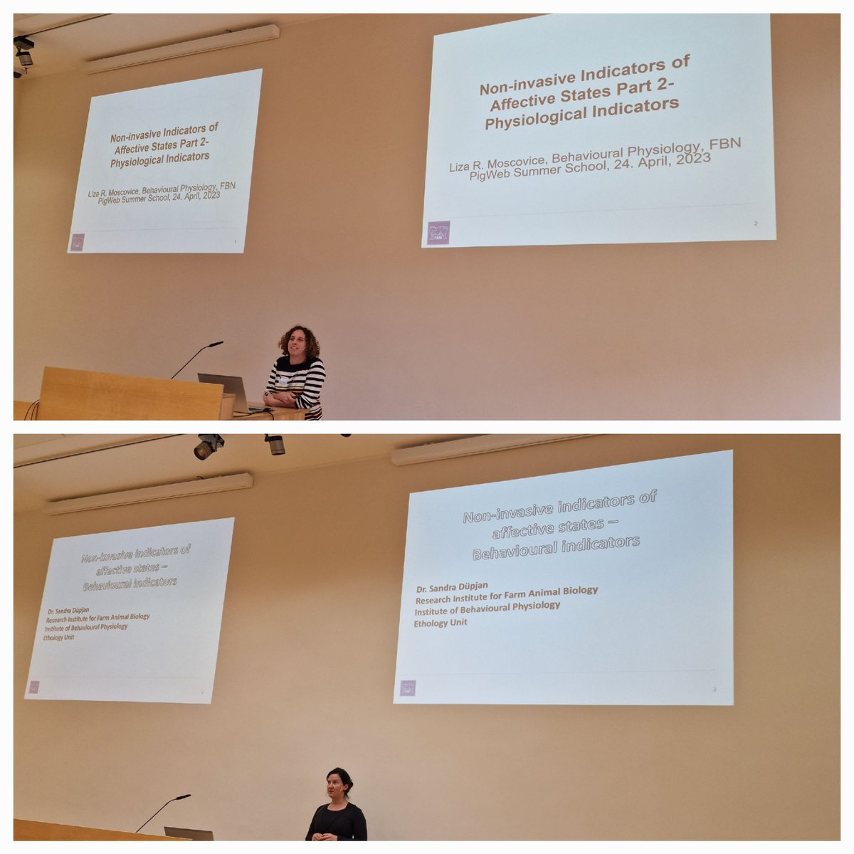 Mette S. Herskin (@herskinmette) on Twitter photo Very interesting afternoon at the <a href="/PIGWEB_H2020/">PIGWEB</a> summer school - Sandra Dupjan and Liza Moscovice (<a href="/PinkorFurry/">Liza Moscovice</a>) from <a href="/FBNBehavPhys/">Institute of Behavioural Physiology (FBN)</a> presenting behavioural and physiological indicators of affective states in pigs. Very interesting afternoon at the <a href="/PIGWEB_H2020/">PIGWEB</a> summer school - Sandra Dupjan and Liza Moscovice (<a href="/PinkorFurry/">Liza Moscovice</a>) from <a href="/FBNBehavPhys/">Institute of Behavioural Physiology (FBN)</a> presenting behavioural and physiological indicators of affective states in pigs.