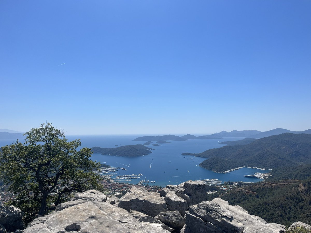 Finsch’s wheatear and Cretzschmar’s bunting today 🤩 now back to 🏖️ and 🍻 Göcek