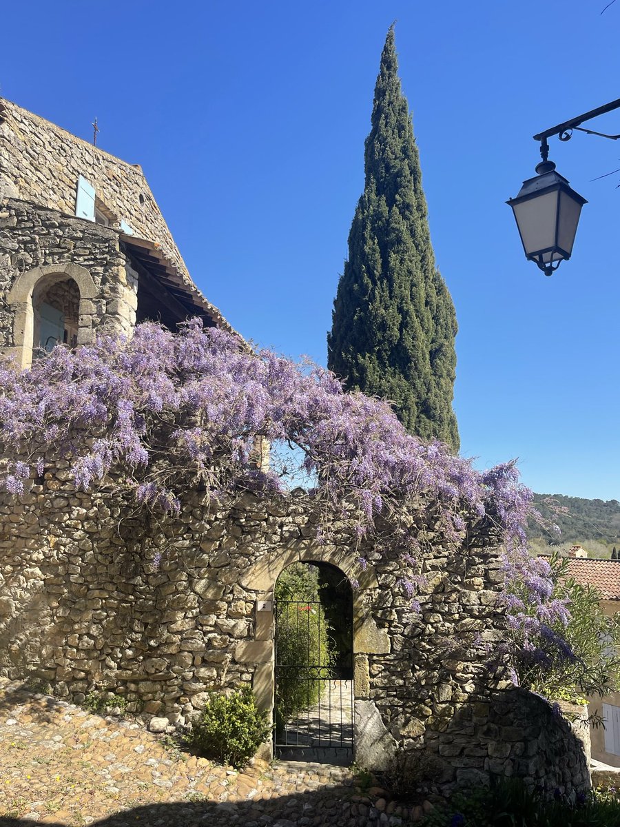 #lundifleuri sous l’odeur des glycines en Provence Occitane