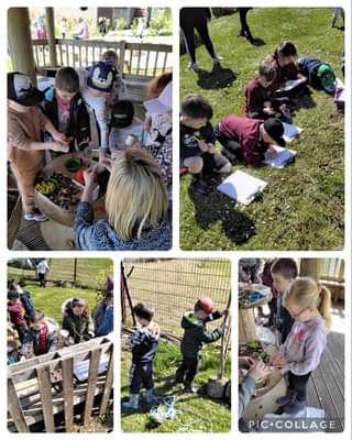 Forest School fun in the sun with Year 1.  Beware of those dragons🐉!! <a href="/RivieraTrust/">Riviera Trust</a>