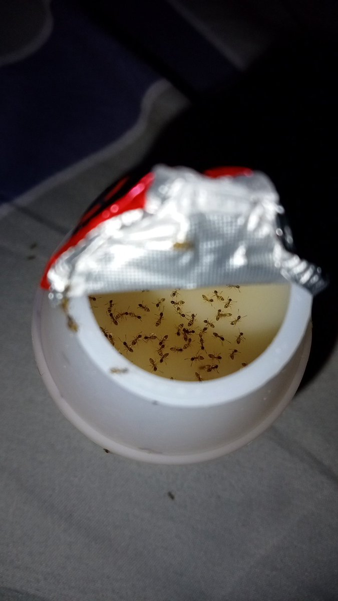 padahal ini Yakult terakhir gue syibal