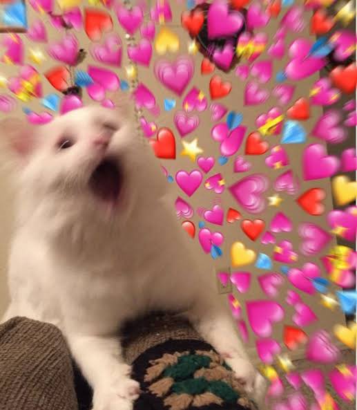 ไม่ได้ลงรูปมา 3 ปีกว่า พอลงก็คือ...😳