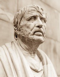 Avvi🇺🇦 tweet media