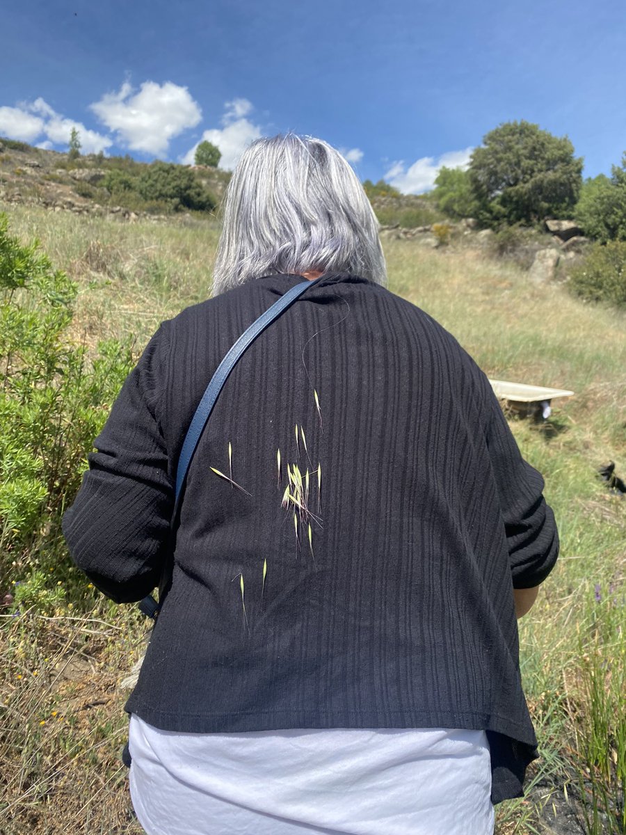 si no has echo esto de pequeño es que no tienes pueblo