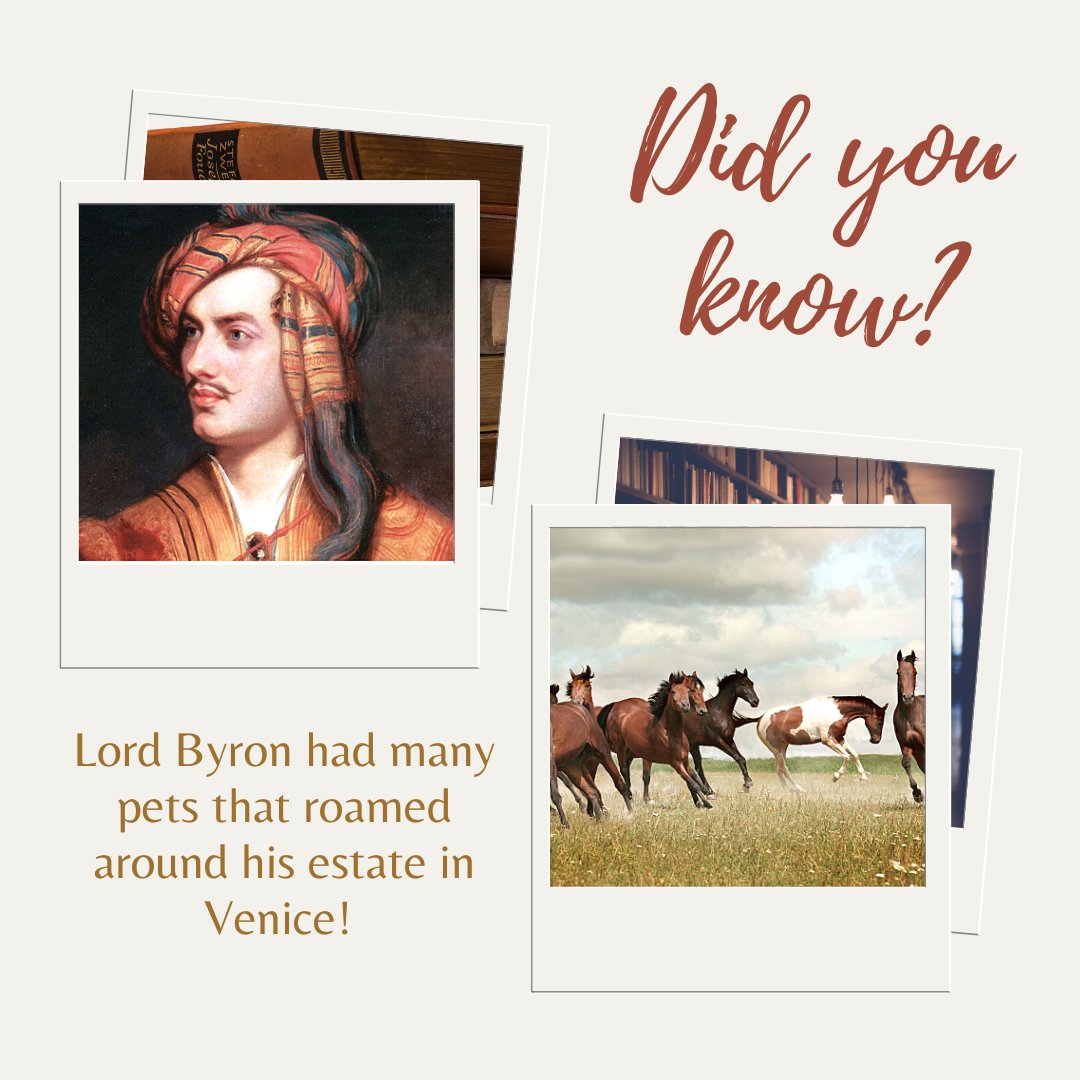 Share Journal tweet media