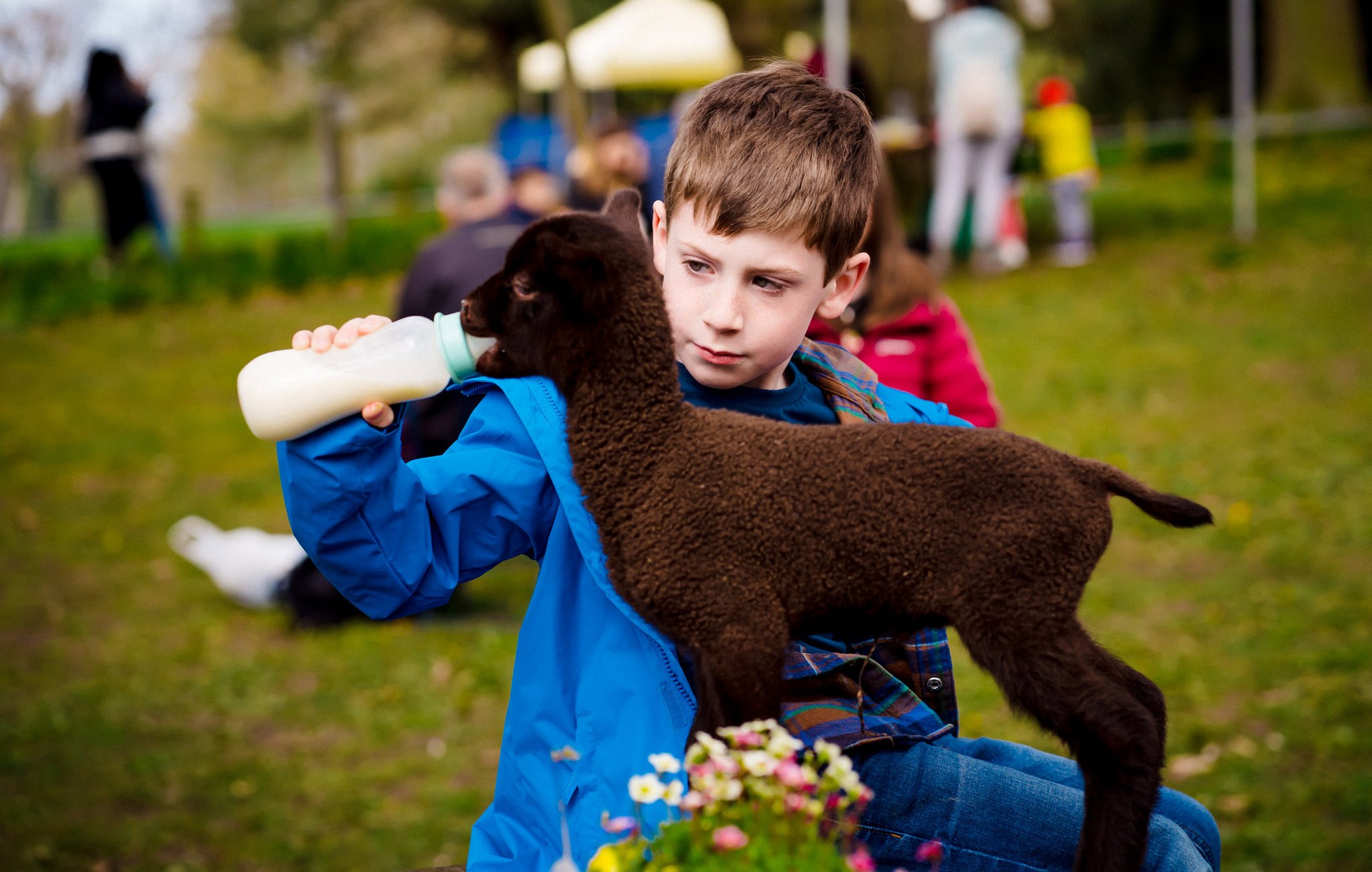 belfast-city-council-on-twitter-what-a-fun-weekend-at-our-springfest