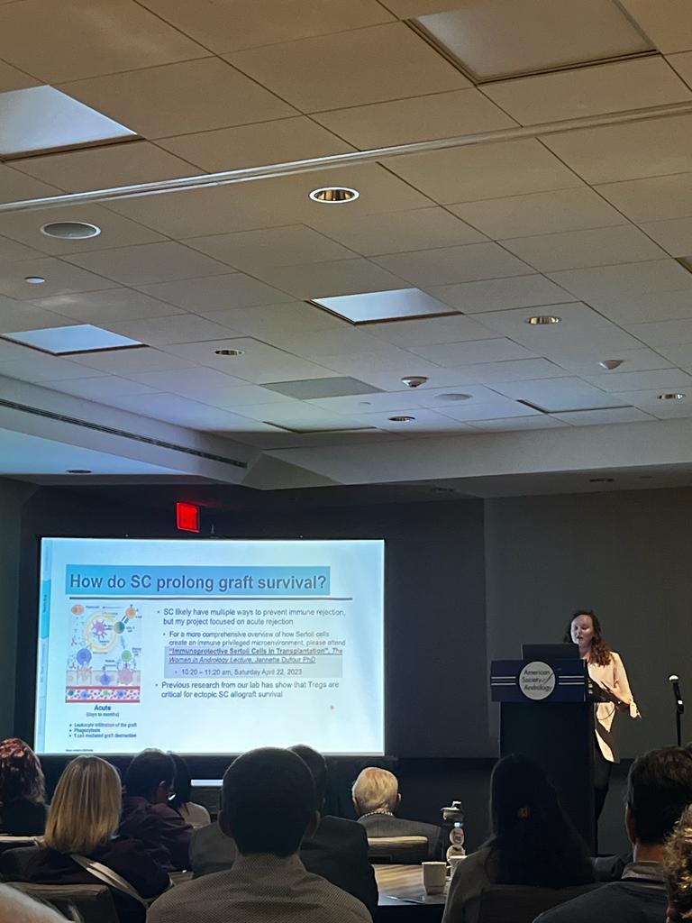 CReATe Research Program tweet media