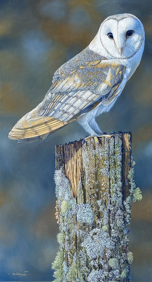 BenWaddams's tweet photo. The Watcher
19"x34"
Oil

My largest barn owl to date and a piece you really need to move your head to view it. The aim was both to make the old post, with its liverworts, fungi and lichens, just as much a part of the painting as the owl.

https://t.co/Slmxa5JaYu  for more https://t.co/11yGddjyiI