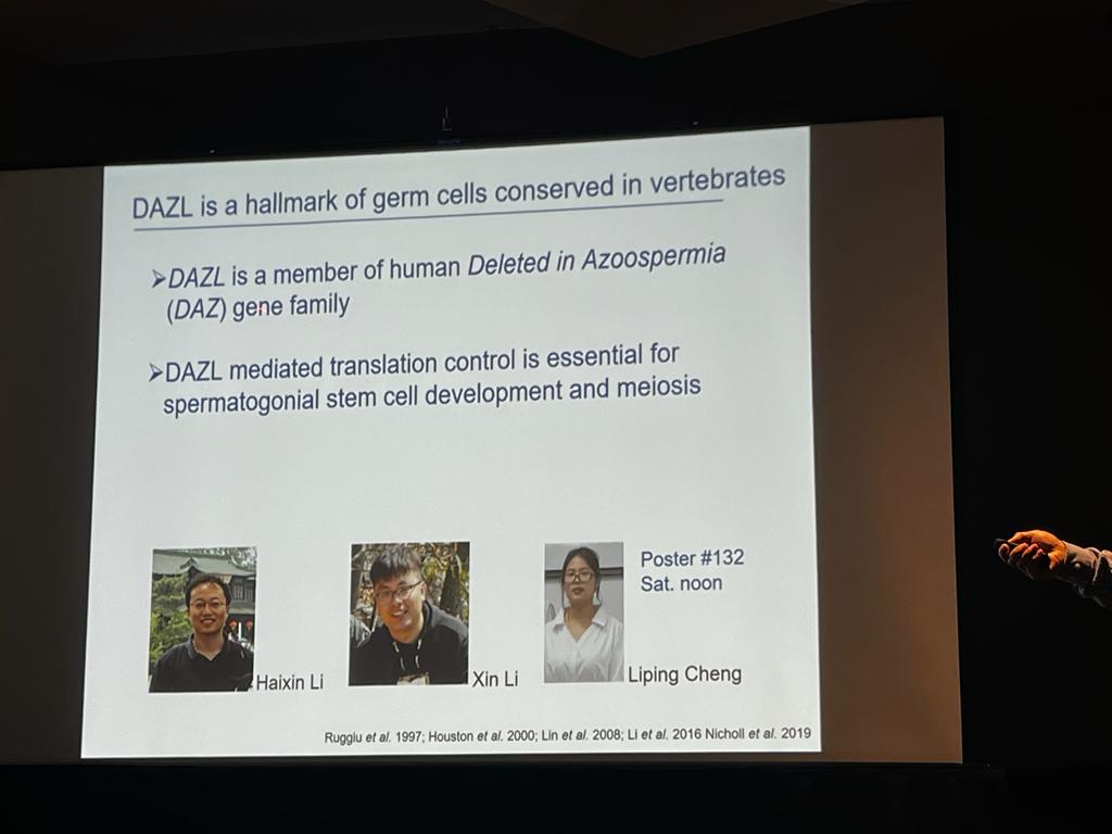 CReATe Research Program tweet media