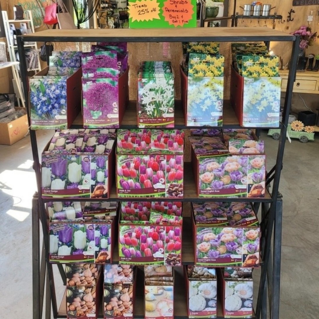 Plant Something Together tweet media