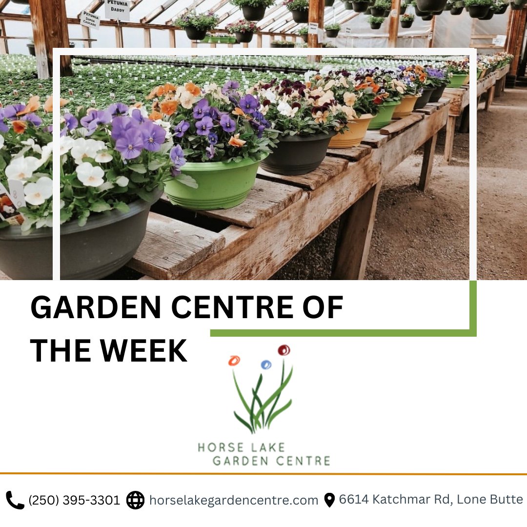 Plant Something Together tweet media