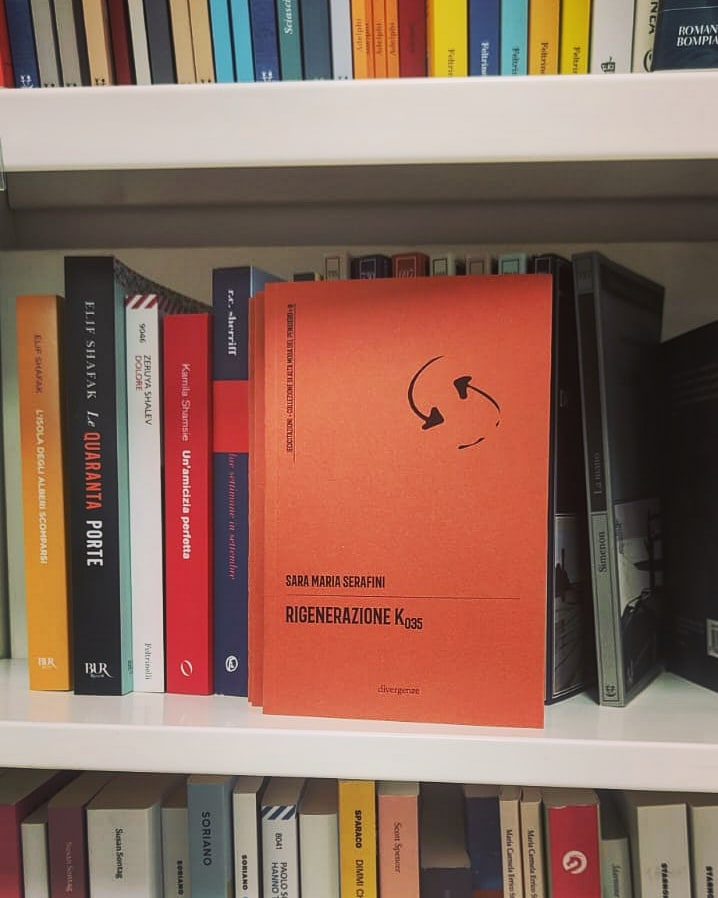 In uno Stato che ha per obiettivo l'incapacità sociale di fallire, Lia si macchia di un delitto senza ragione. La sua memoria sarà ripulita e inserita in una trama di simulazioni in cui il suo alter ego Amalia non dovrà cadere di nuovo in errore.

Rigenerazione K035, Divergenze