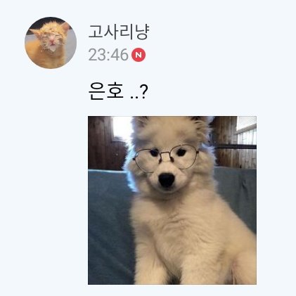 0o고사리냥o0 tweet media