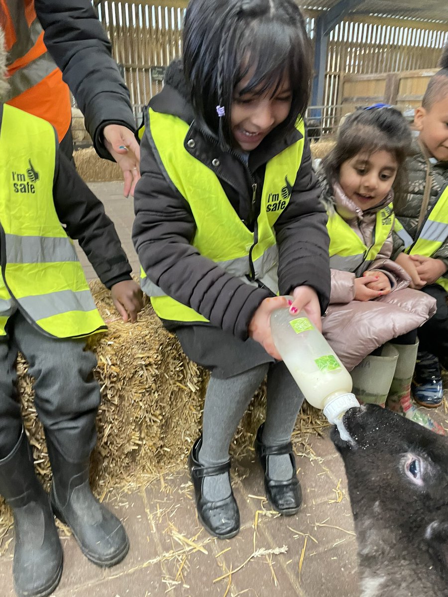 BarfordSchool's tweet photo. Today, Reception Apples and Pears had a fantastic day at Ash End House Farm. We loved meeting all of the farm yard animals and enjoyed our exciting tractor ride! 🚜 🐮 @AshEndHouseFarm https://t.co/4SvqfiFIUg