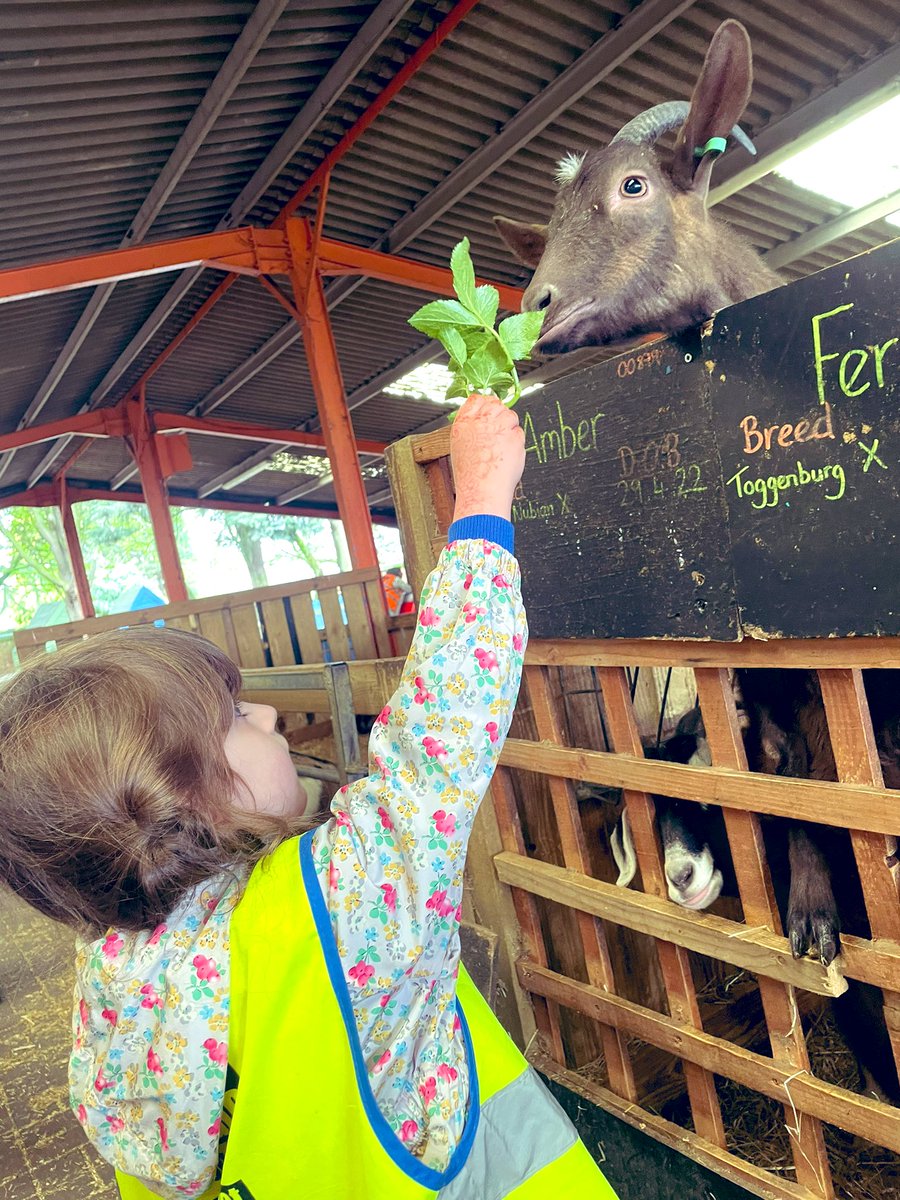BarfordSchool's tweet photo. Today, Reception Apples and Pears had a fantastic day at Ash End House Farm. We loved meeting all of the farm yard animals and enjoyed our exciting tractor ride! 🚜 🐮 @AshEndHouseFarm https://t.co/4SvqfiFIUg