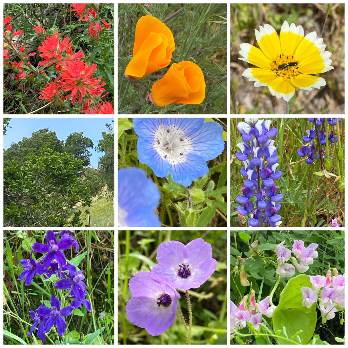 Robin Pelc, PhD tweet media