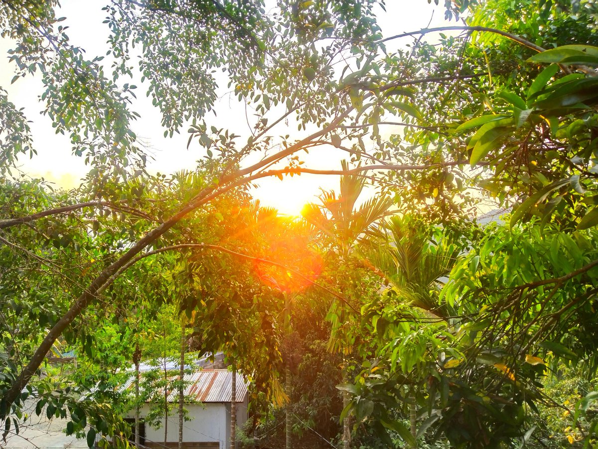 RodgeMix's tweet photo. 📌Nature Heals📸
#Rodgemixphotography https://t.co/jt6EMb6DGI