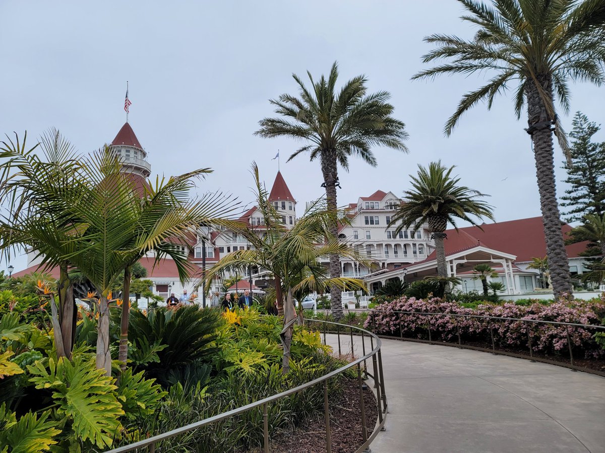 Terence Thompson tweet media