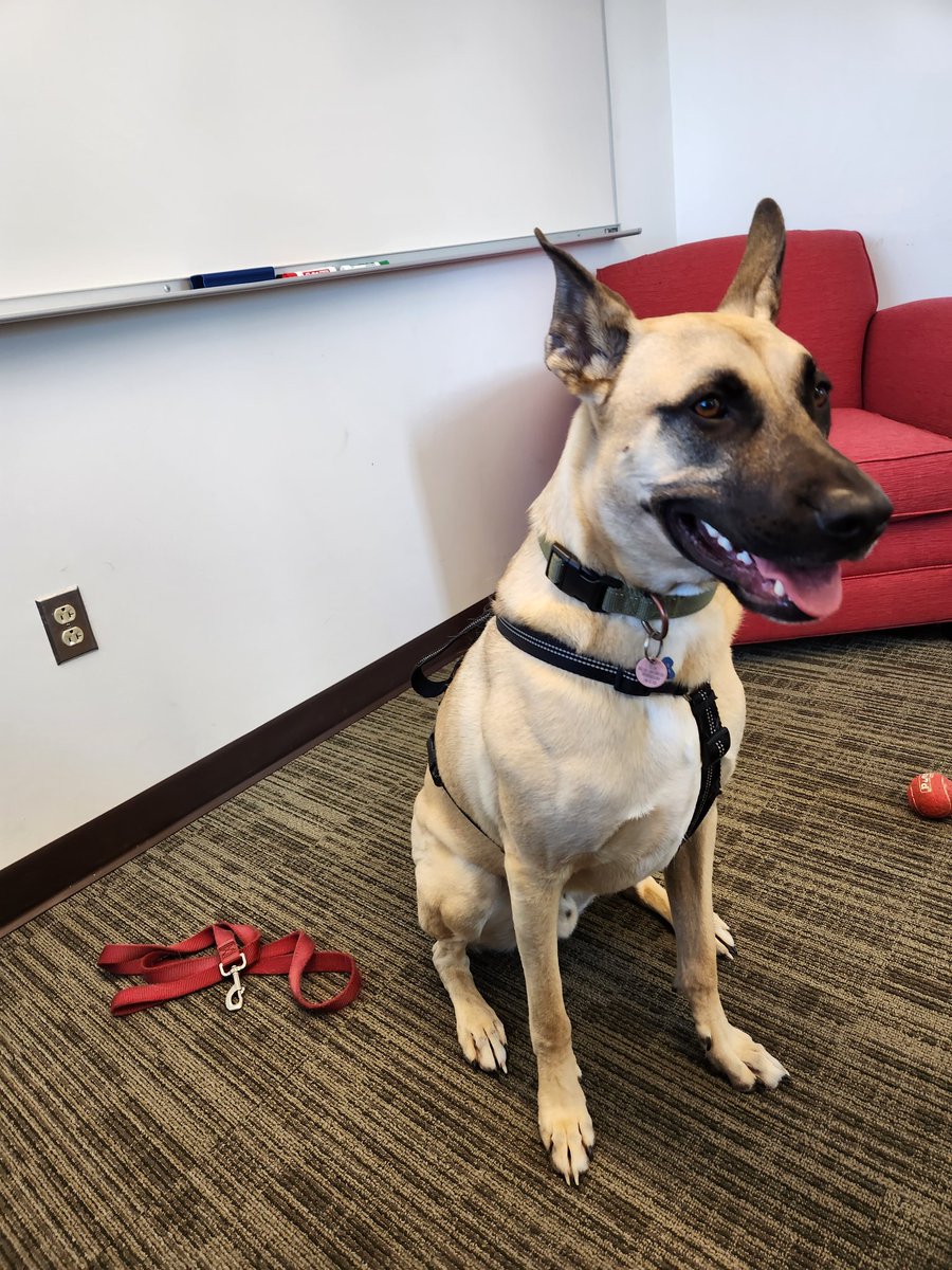 Max, the nervous boy, is attempting to be emotional support at Haverford Campus today. He's trying his hardest.