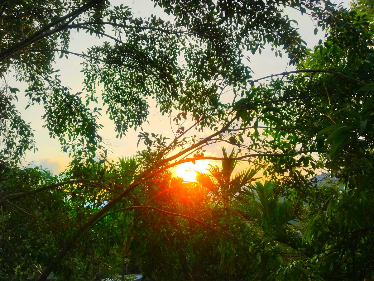 📌Nature Heals📸
#Rodgemixphotography