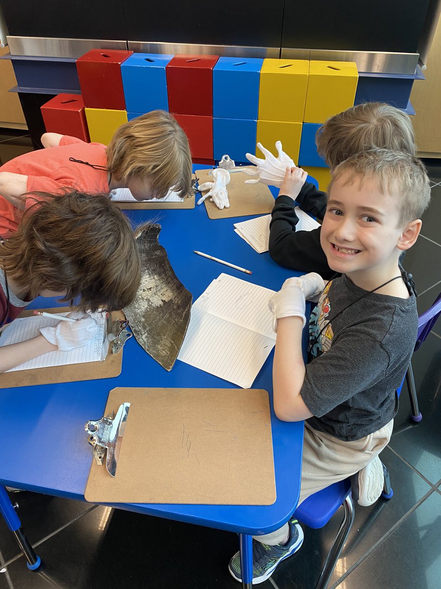 MmeBarry2FI's tweet photo. We are off and running with our week long Open Minds program here at @TheRooms_NL. Exploring objects is our first stop! @HTE_K4 https://t.co/8LHr2RrGQ3