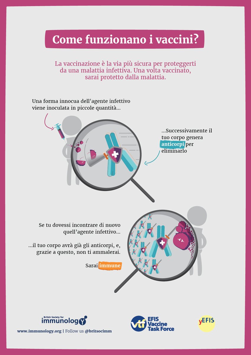 In collaboration with the <a href="/EFIS_Immunology/">EFIS</a> Vaccine Task Force, we’re translating our #vaccine resources to help everyone make informed decisions about their health ℹ️

Download &amp; share our new #Italian infographics this #WorldImmunizationWeek👉bit.ly/3AmYn70